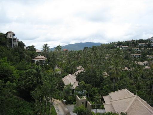 IMG_6855.JPG